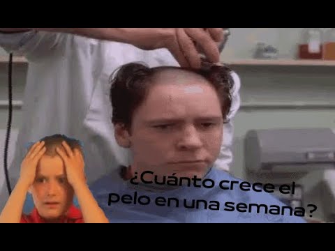 cuanto crece el pelo en 1 semana