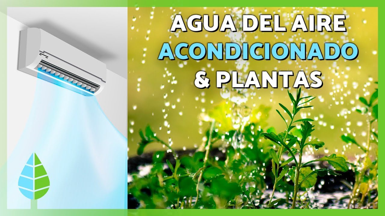 el agua del aire acondicionado es buena para las plantas