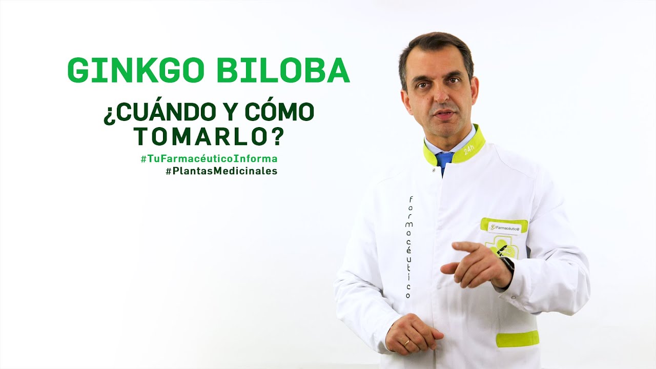 ginkgo biloba beneficios para el hombre