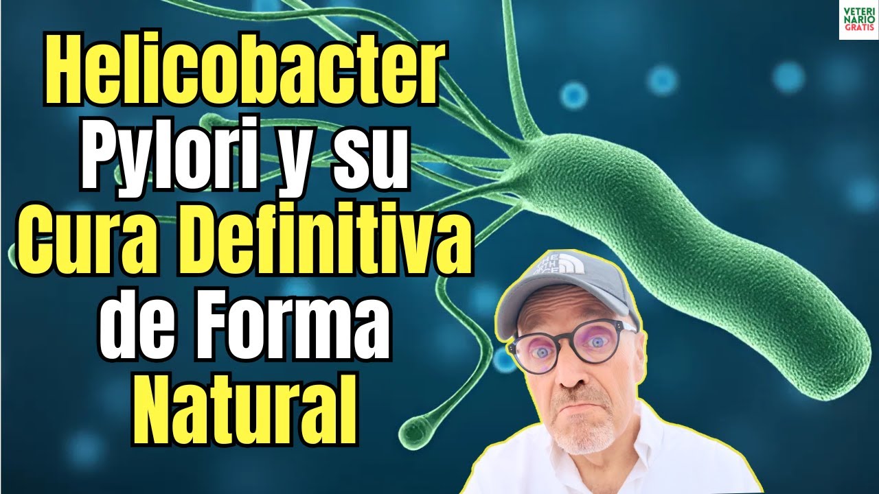 helicobacter pylori cura definitiva de forma natural