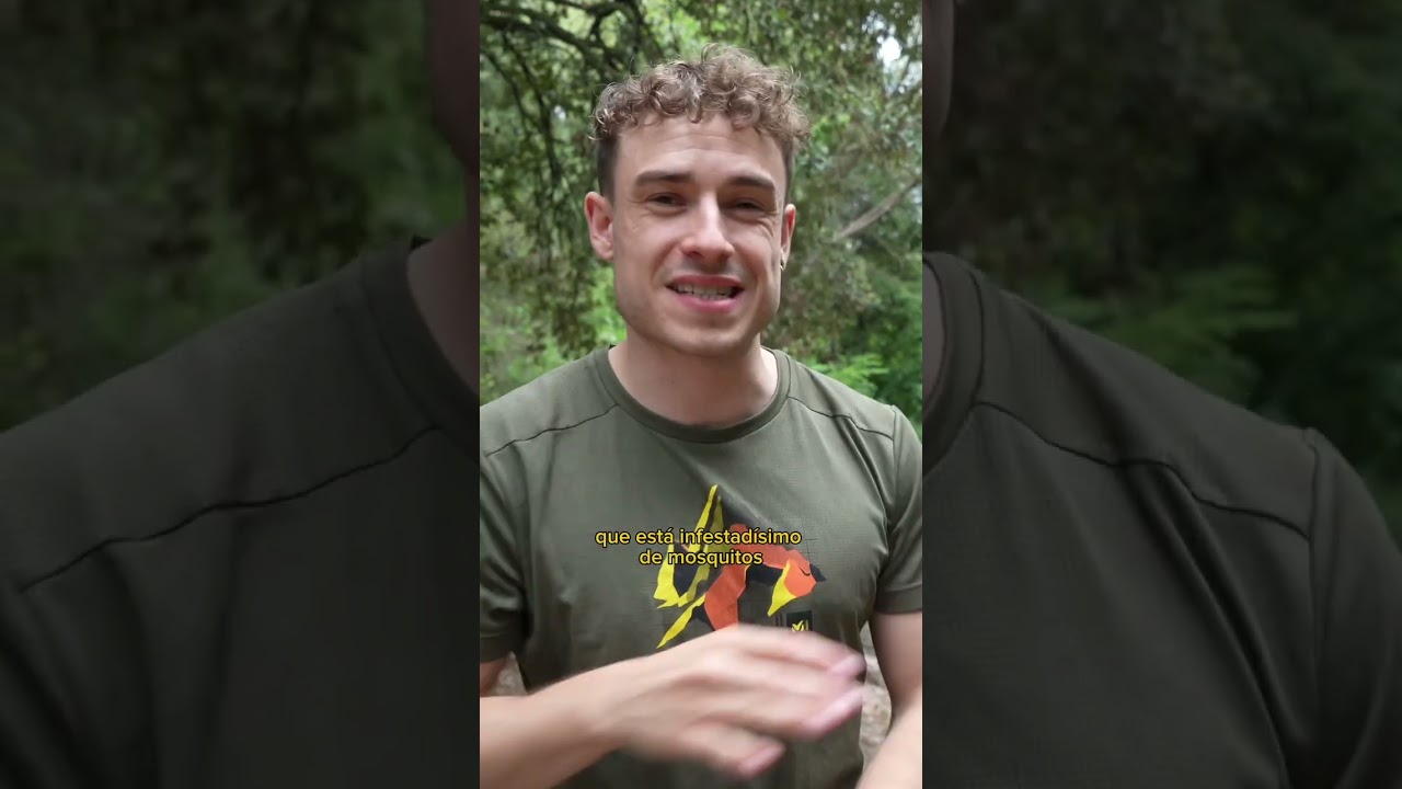 la citronela es tóxica para los humanos