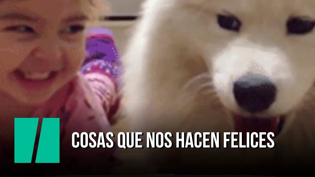 las cosas que nos hacen felices