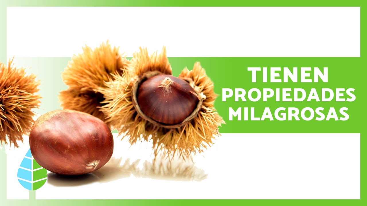 para que son buenas las castañas