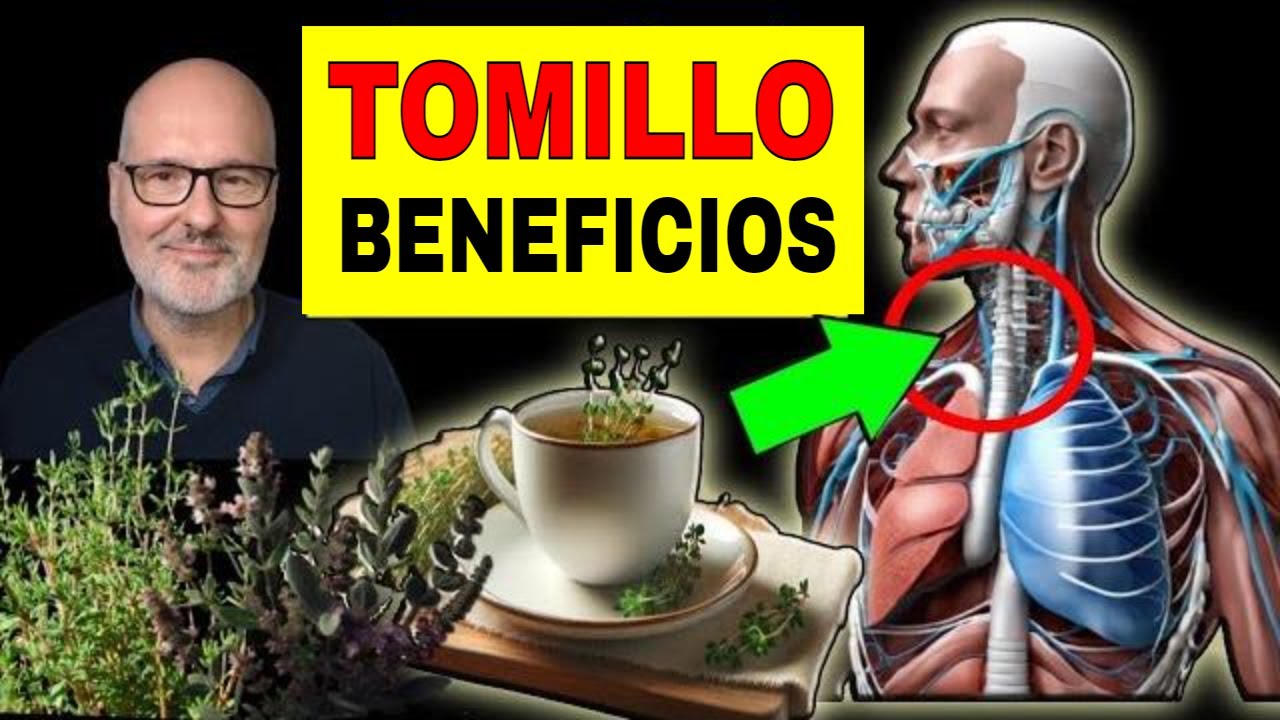 propiedades de la infusión de tomillo