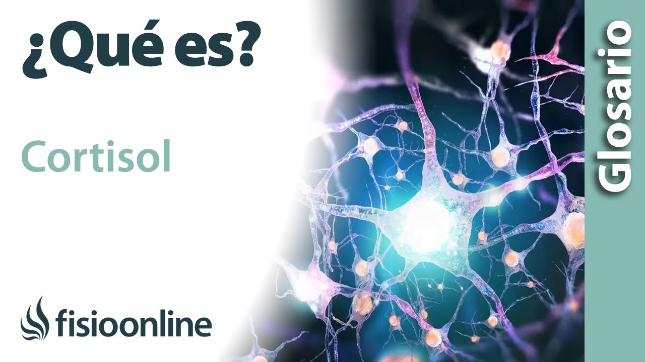 que es el cortisol y como bajarlo