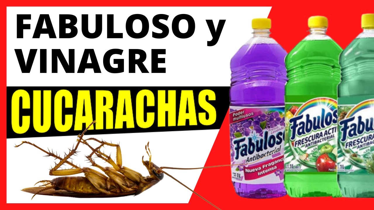 remedio casero para las cucarachas con vinagre