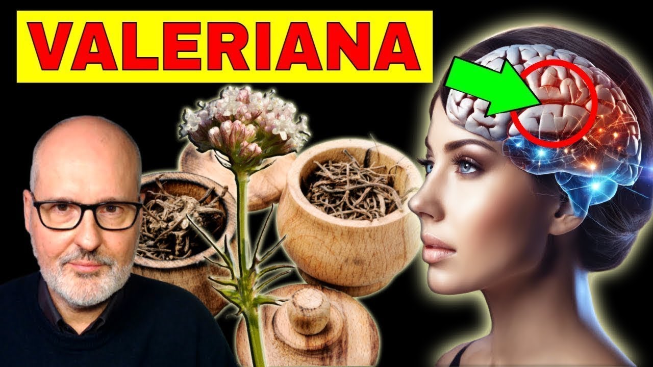 se puede tomar valeriana para la ansiedad
