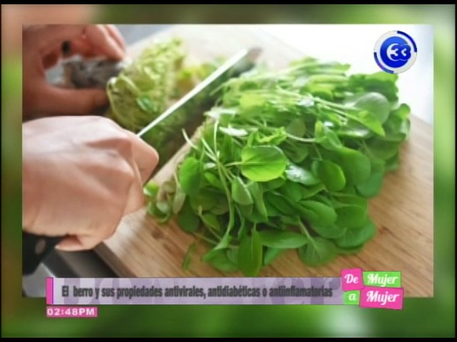 berros y canonigos son lo mismo