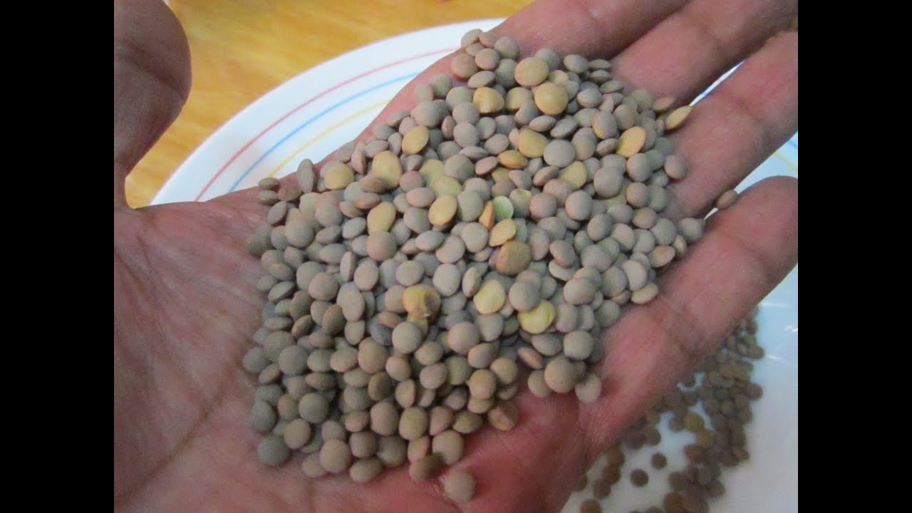 cantidad de lentejas por persona y agua