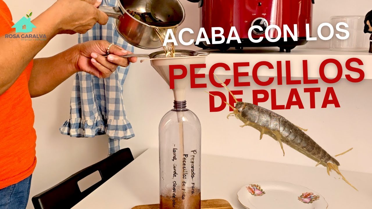 como eliminar los pececillos de plata
