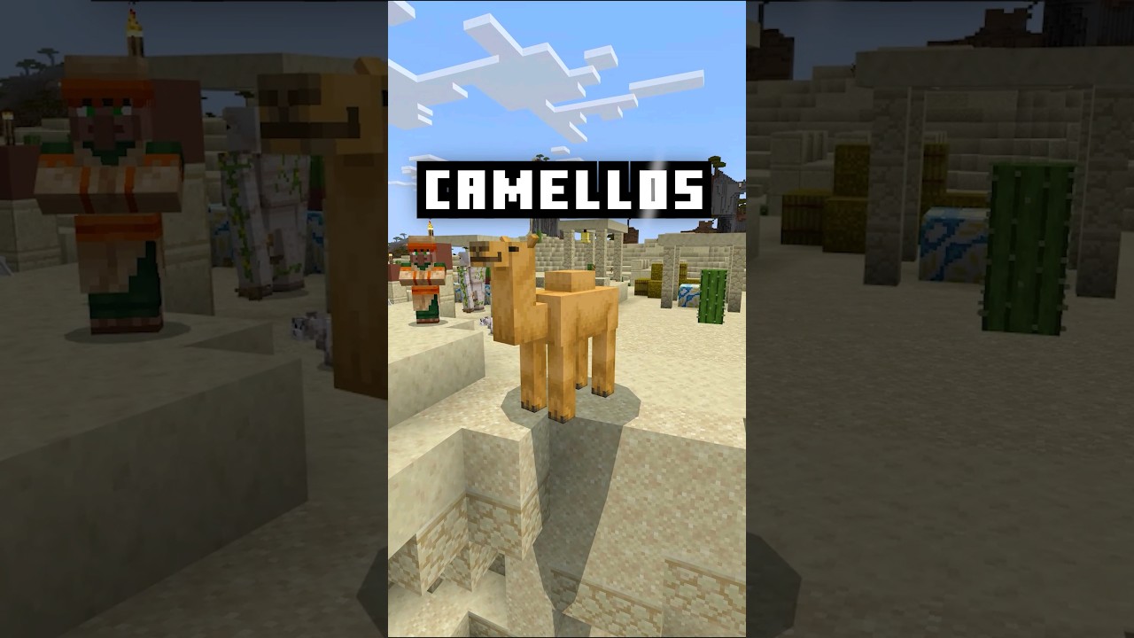 como encontrar camellos en tu zona