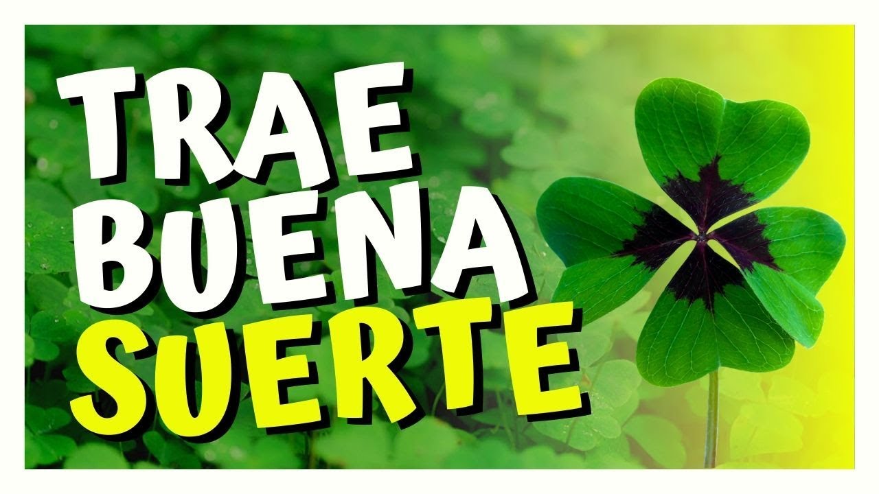 cual es el trebol dela suerte