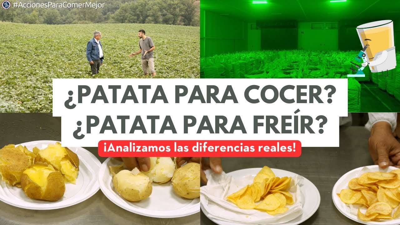 cual es la mejor patata para freir