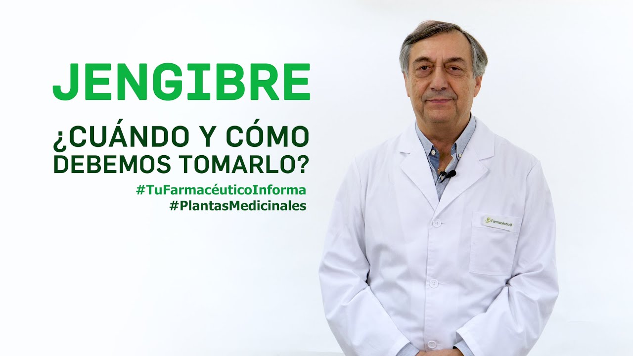 cuanta infusion de jengibre se puede tomar al dia