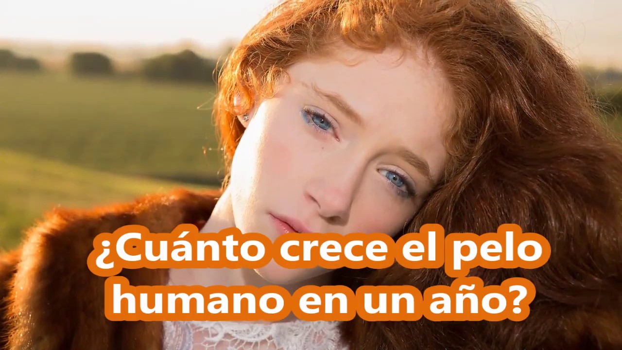 cuanto crece el pelo en 6 meses
