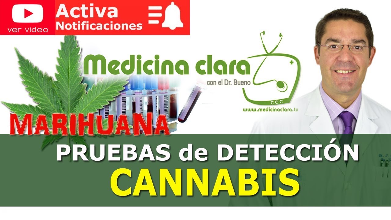 cuánto dura la marihuanas en el cuerpo