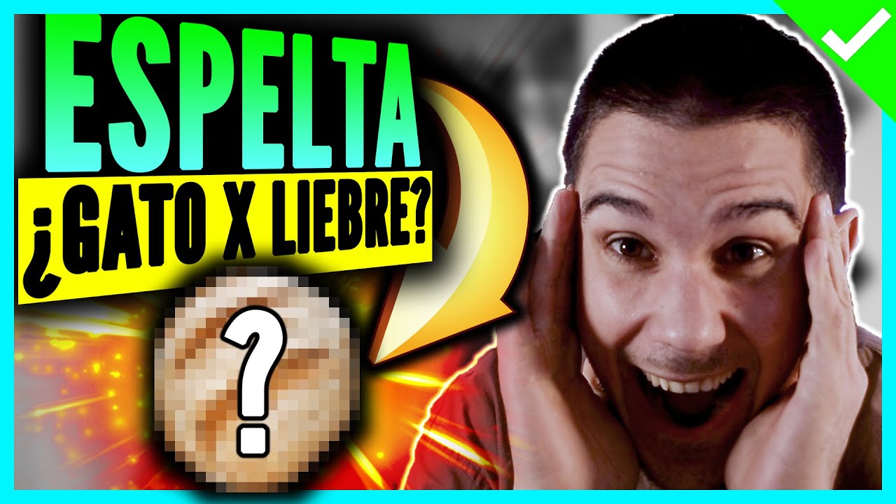 el pan de espelta tiene gluten