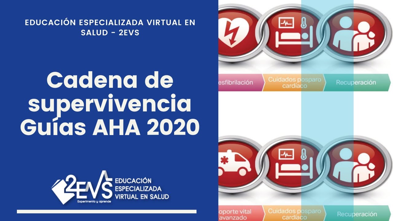 eslabones de la cadena de supervivencia