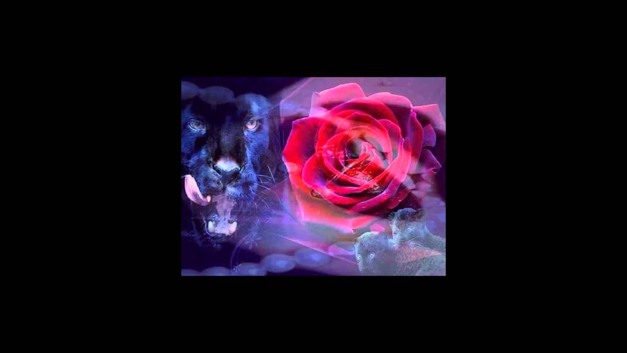 flores para felicitar a una amiga