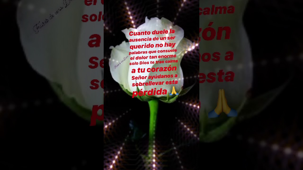 frases bonitas para una persona fallecida