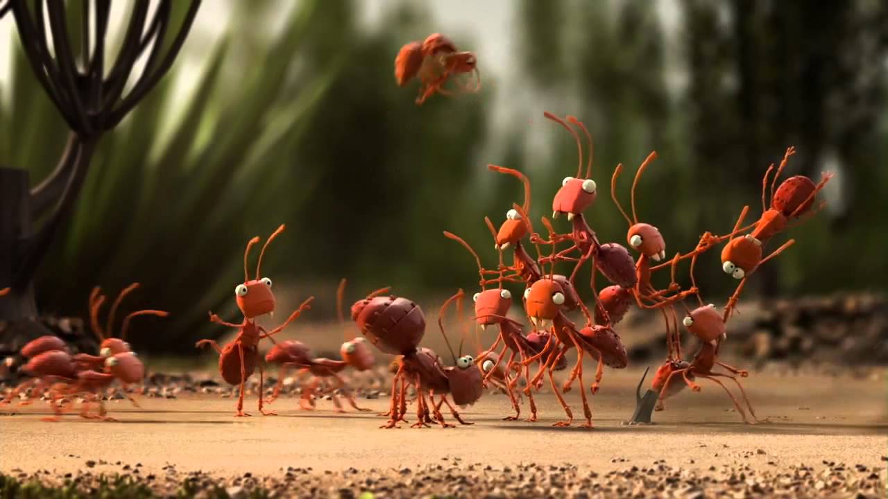 frases compañerismo y trabajo en equipo