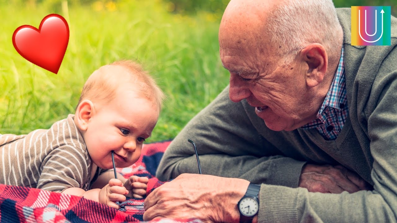 frases para un nieto de su abuela