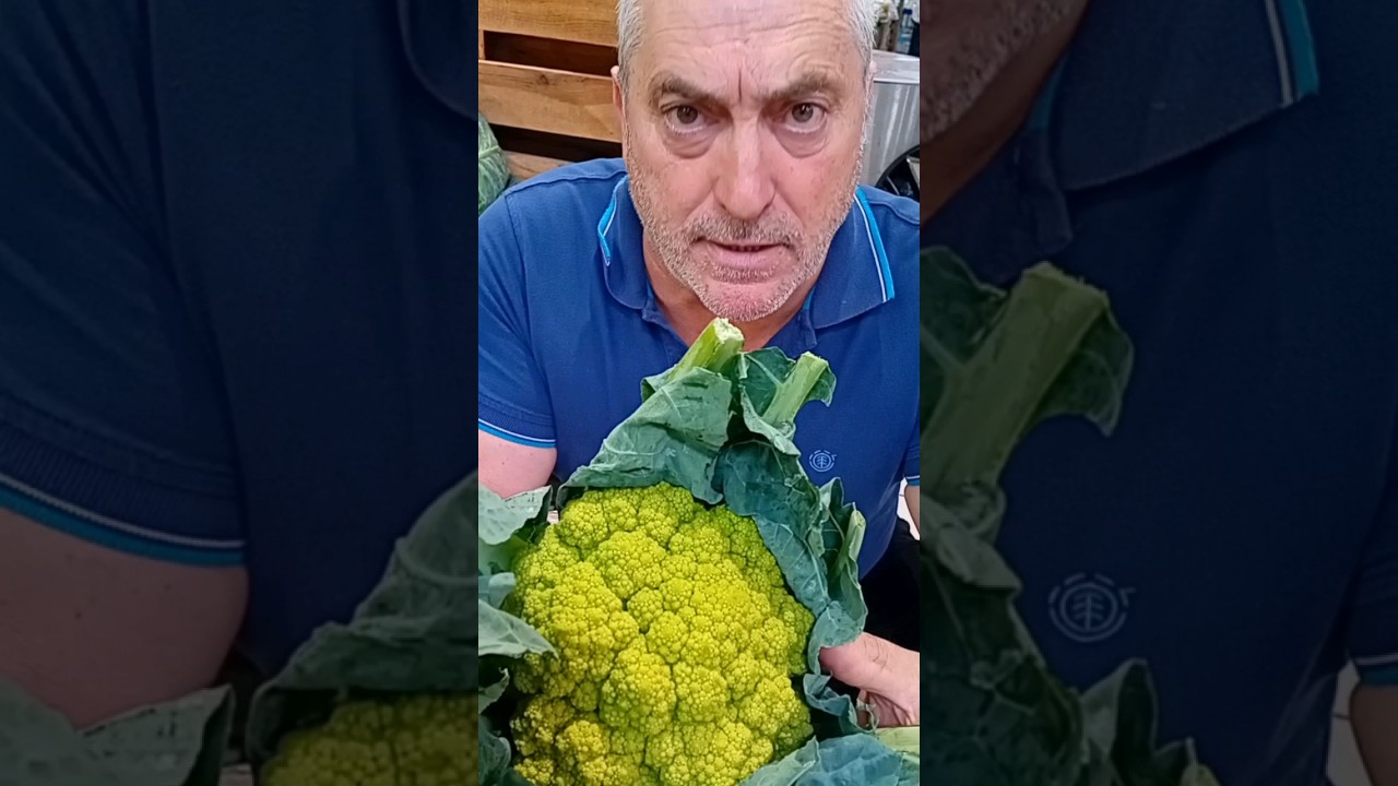 grelos y berza es lo mismo