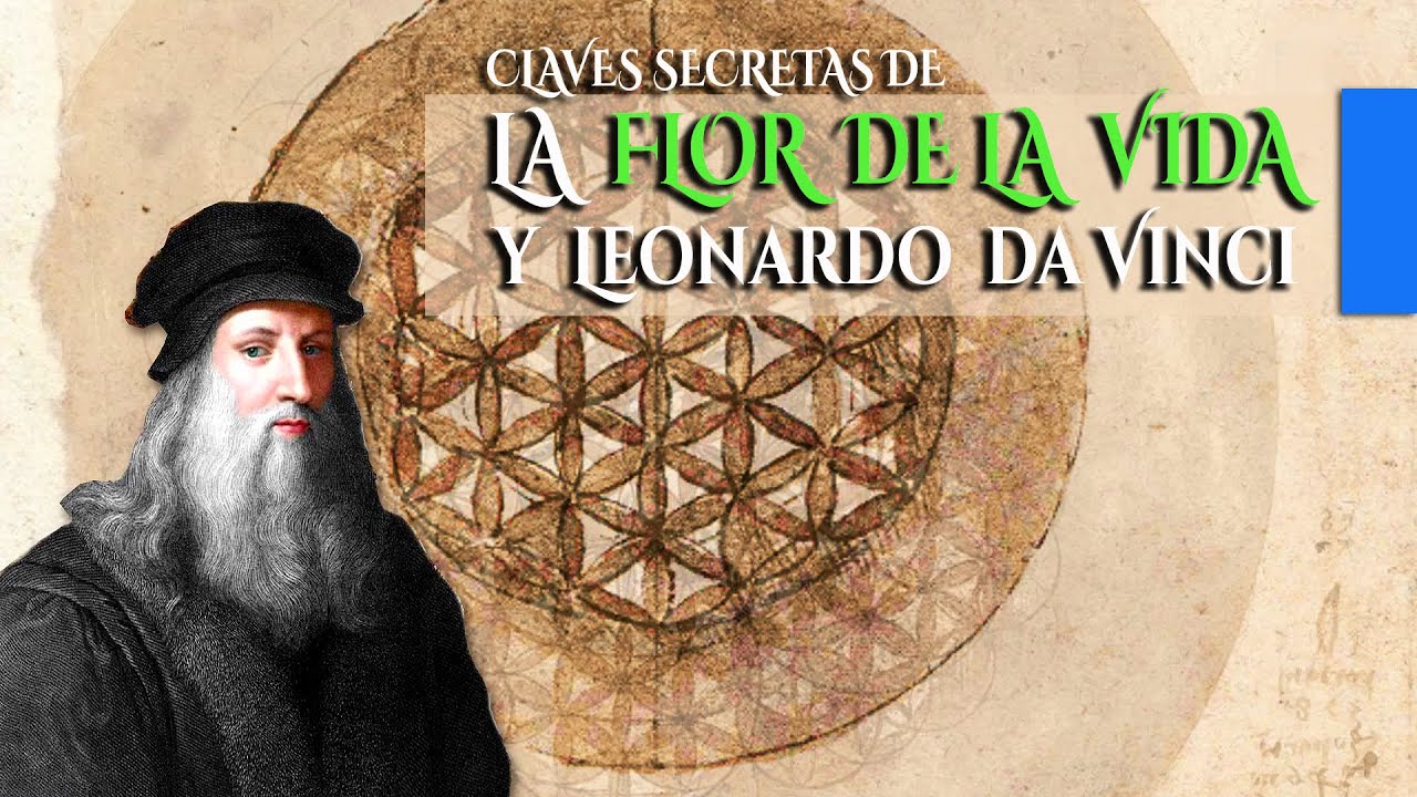 la flor de la vida significado