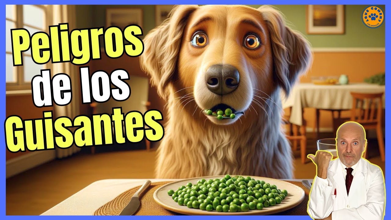 los guisantes son buenos para los perros