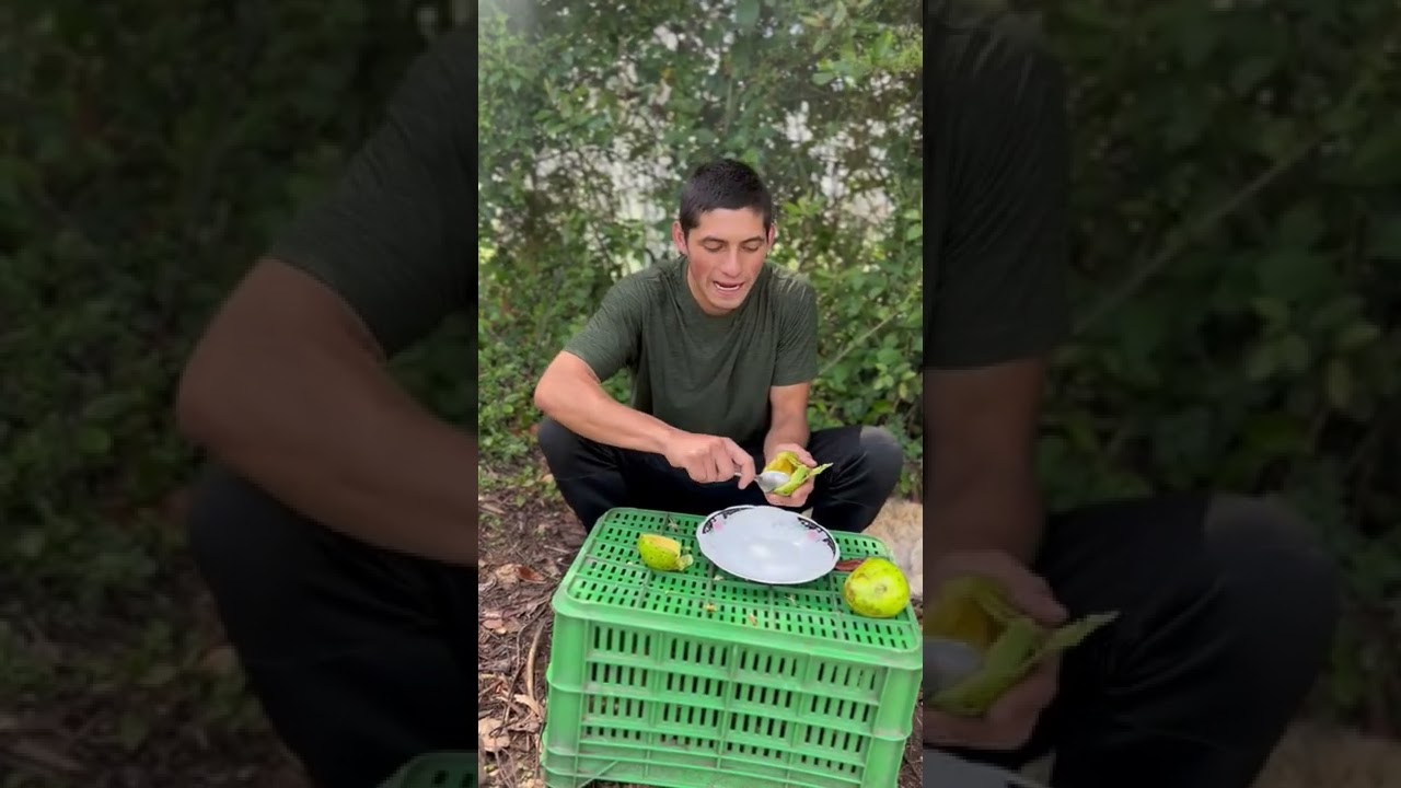 mascarilla de aguacate para el pelo