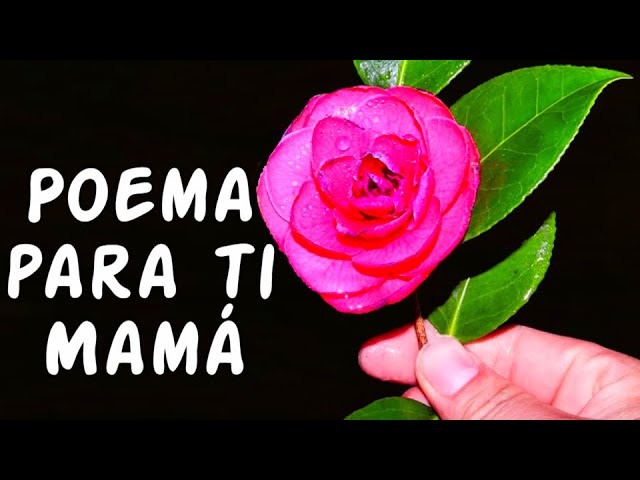 poema para el día de la madre