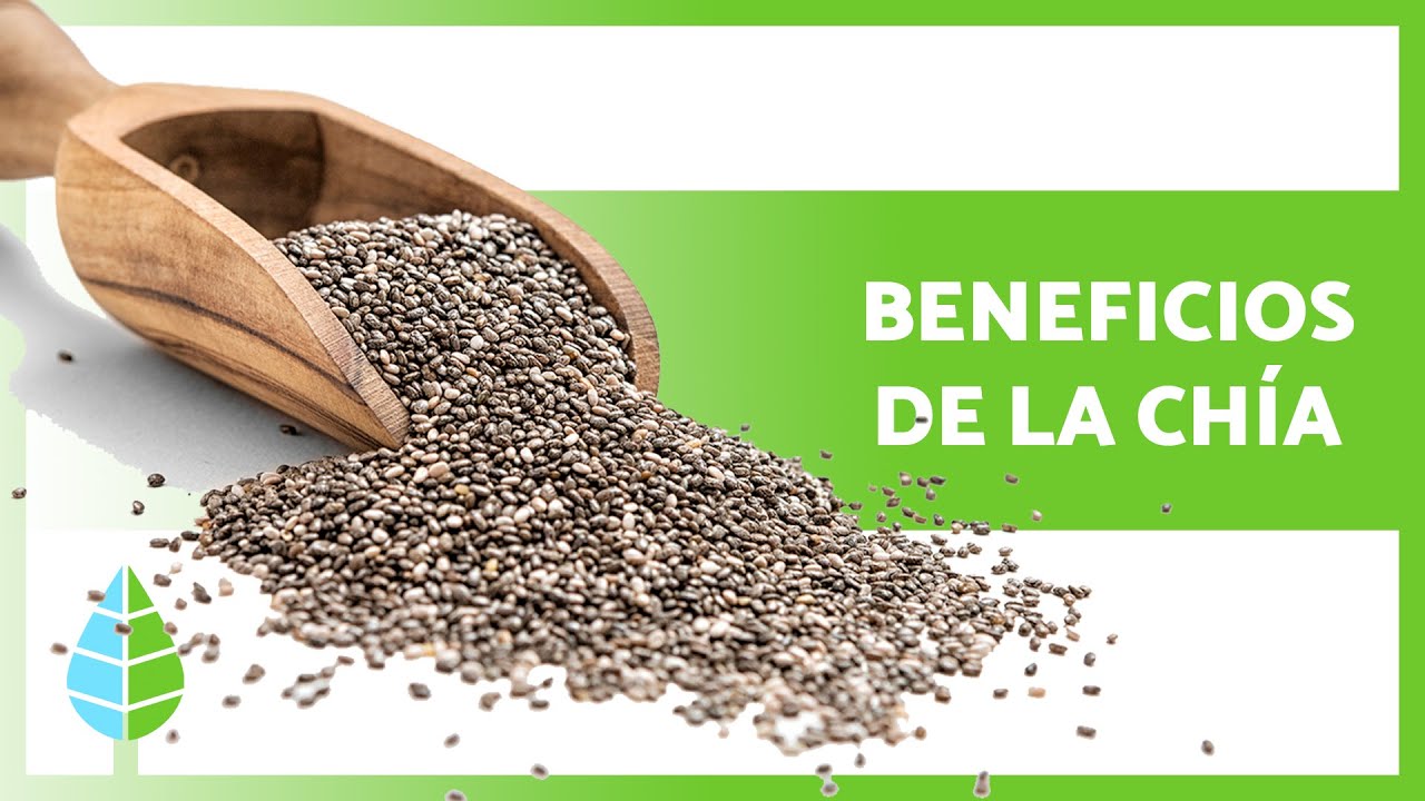 propiedades de la chia para la salud