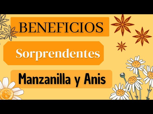 propiedades de la manzanilla con anís