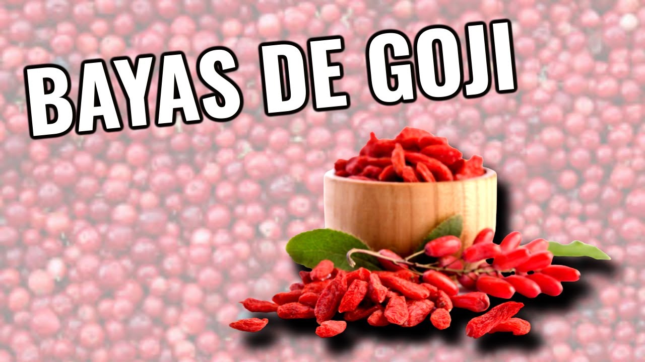 propiedades de las bayas de goji