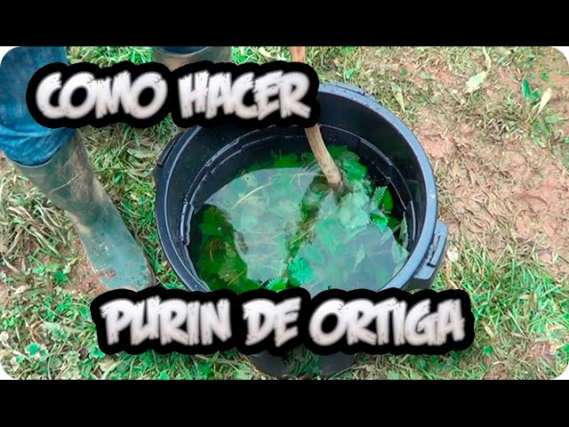 purin de ortigas para que sirve