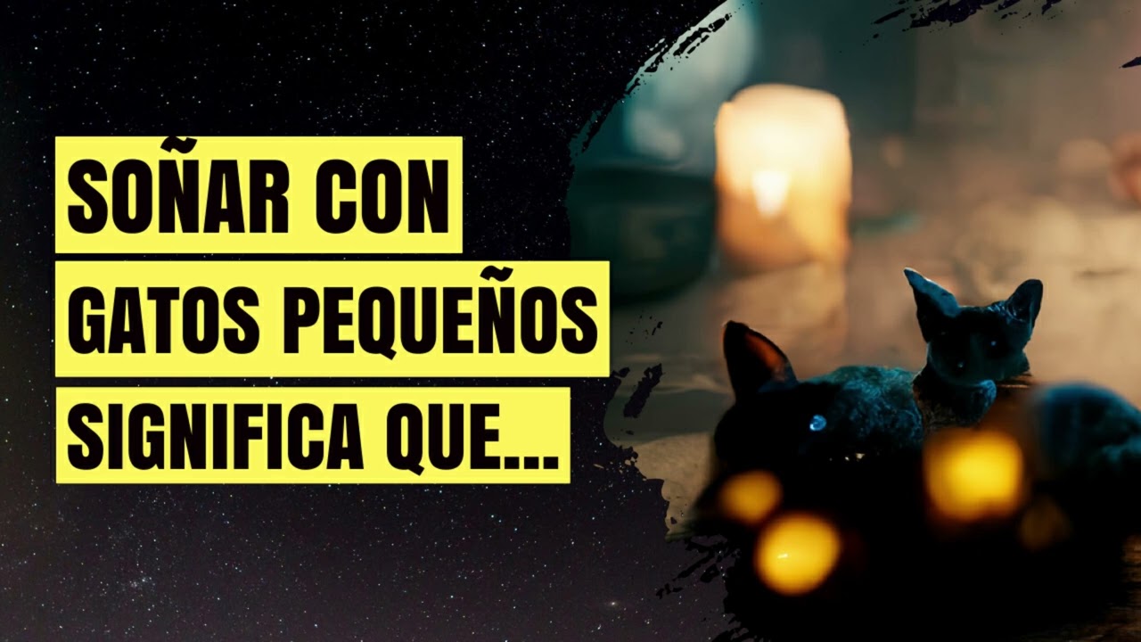 que significa soñar con gatitos pequeños