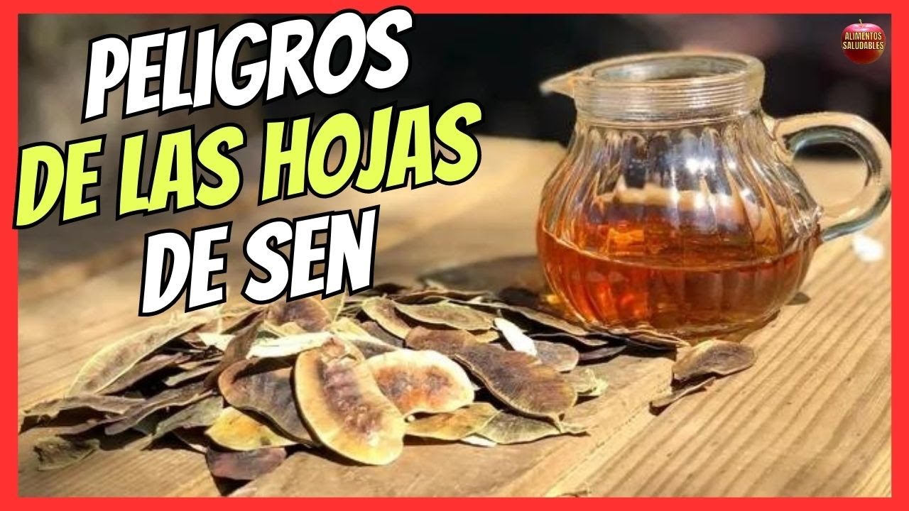 se puede tomar té de sen todos los días