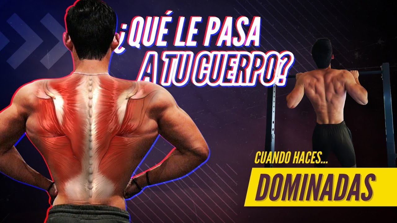 tipos de dominadas y musculos que trabajan