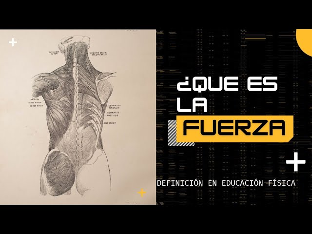 tipos de fuerza de educacion fisica