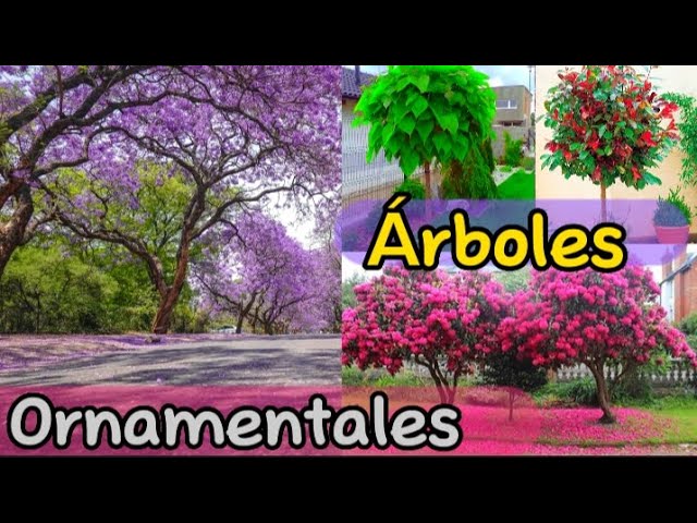 arboles con flores y sus nombres