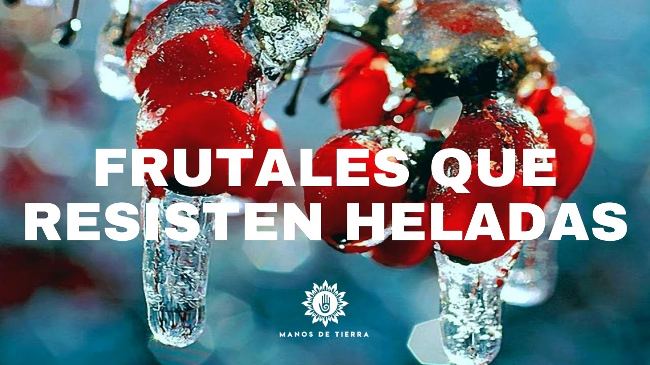 árboles frutales resistentes al frío y calor