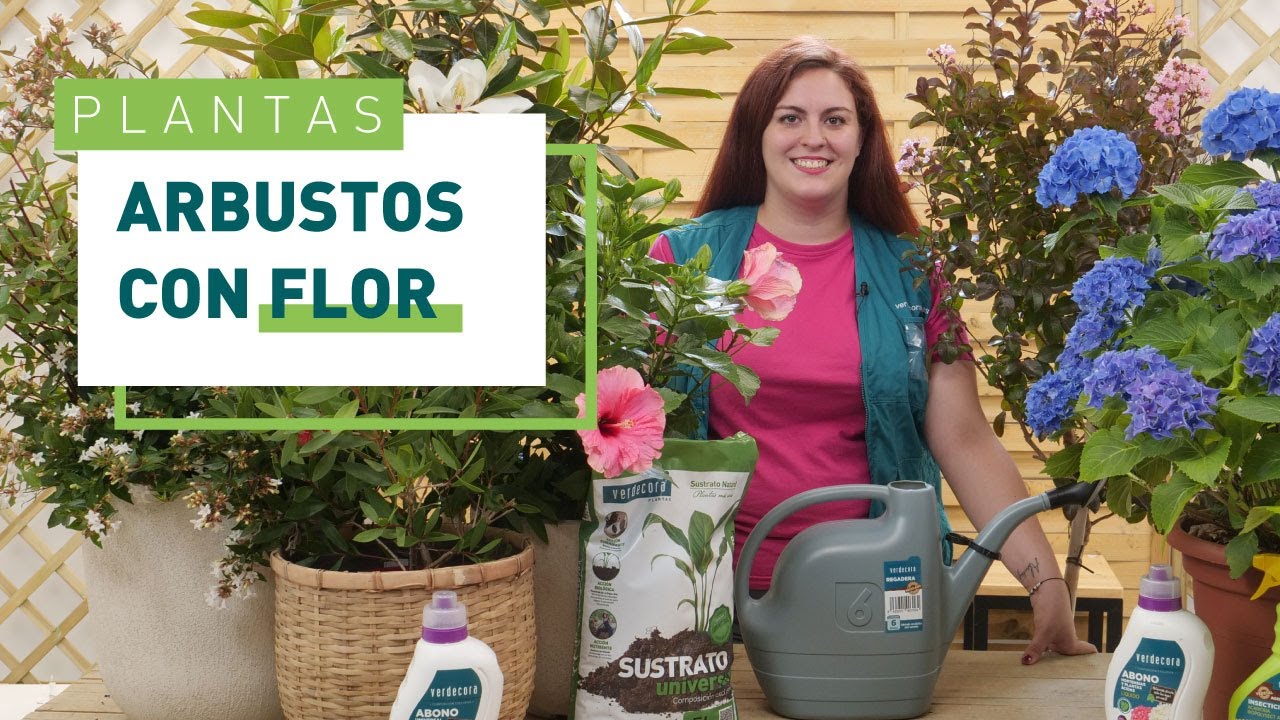 arbustos con flores todo el año