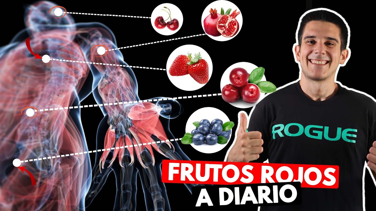 beneficios del te de frutos rojos
