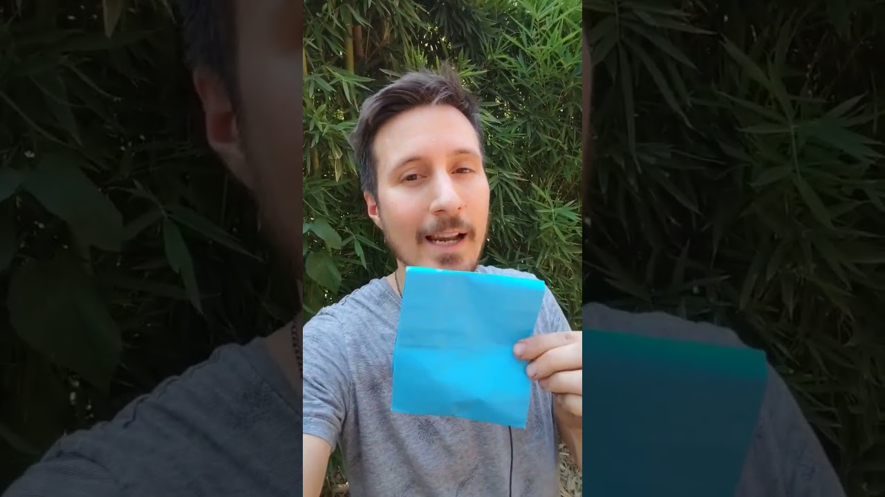 bichos pequeños marrones que vuelan como eliminarlos