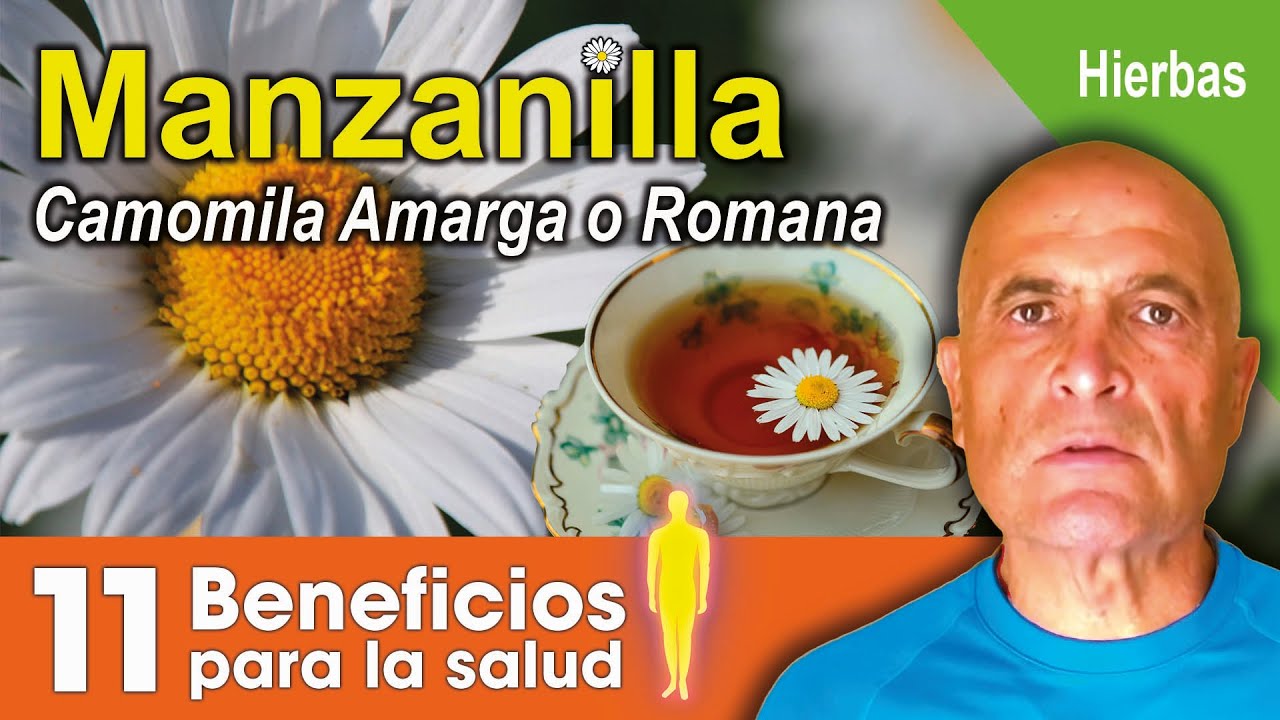 camomila y manzanilla es lo mismo