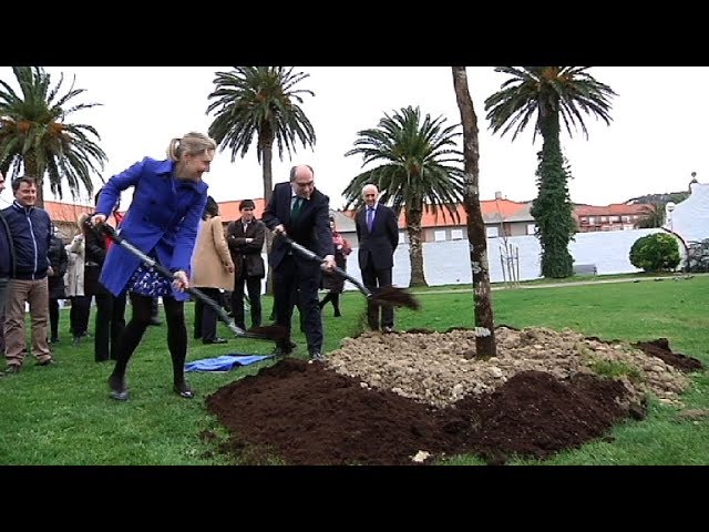 centro de salud mental de bermeo