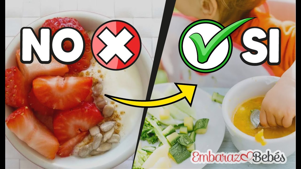 comida para bebe de 6 meses