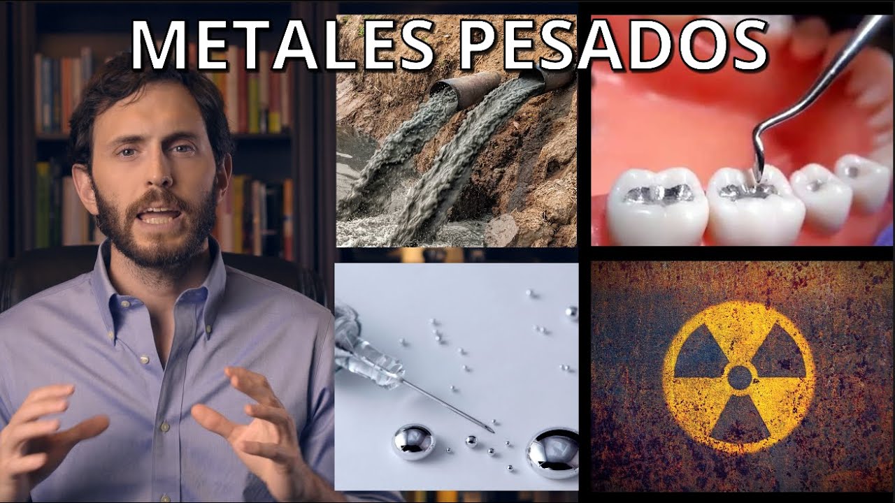 como eliminar el mercurio del cuerpo