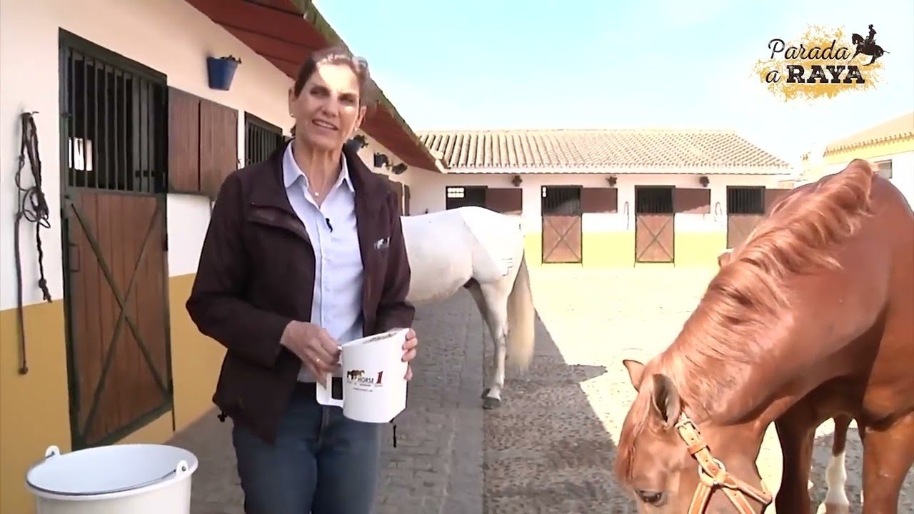 cuanto come un caballo al dia