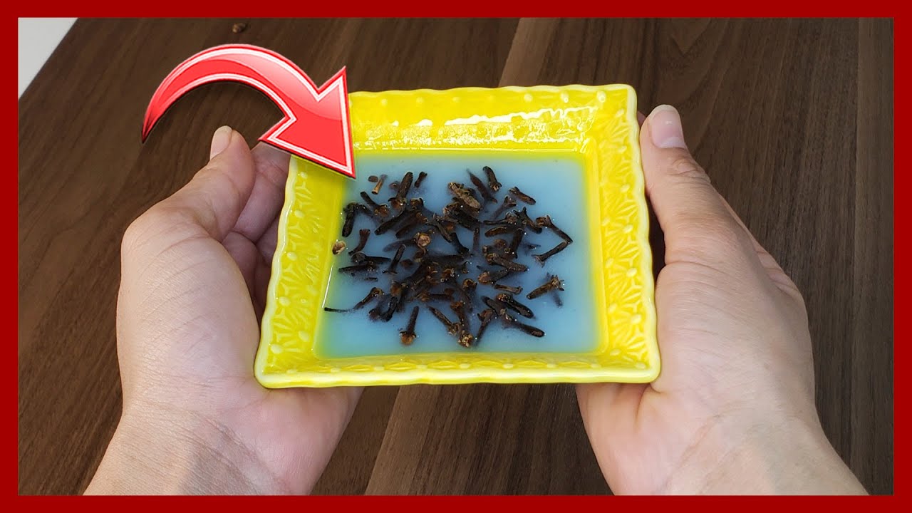 especialistas en malos olores en casa